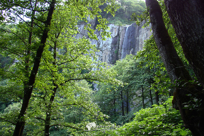 Laton Waterfall Forest