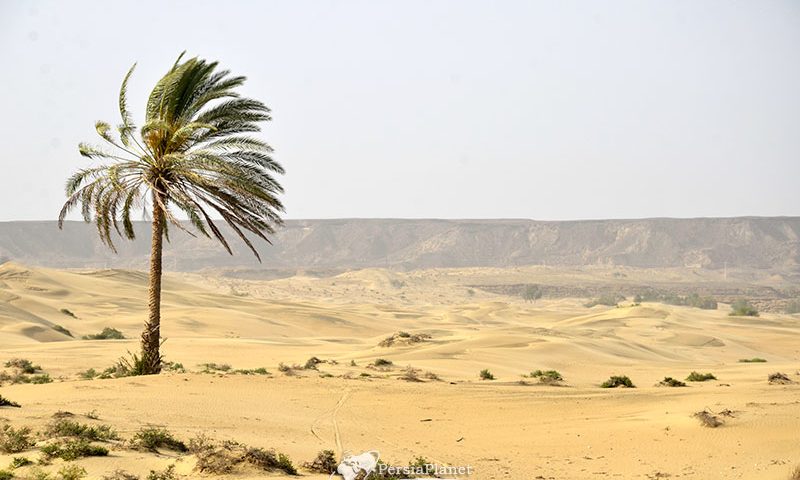 Darak Beach, Desert, Persian Gulf