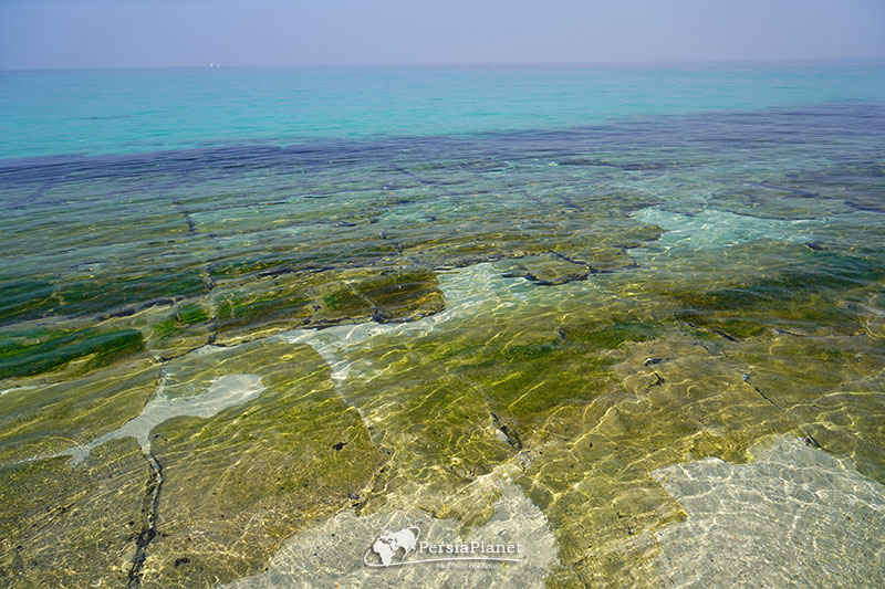 Shidvar Island Persian Gulf